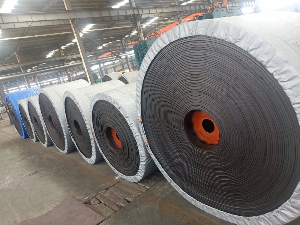 91免费看黄APP下载分类